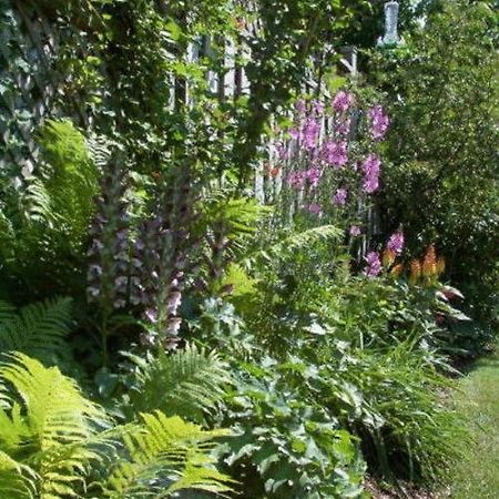 Antique Slumber Old Town Bed & Breakfast Niagara-on-the-Lake Luaran gambar