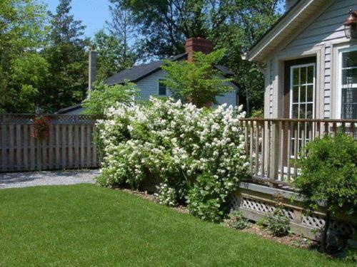 Antique Slumber Old Town Bed & Breakfast Niagara-on-the-Lake Luaran gambar